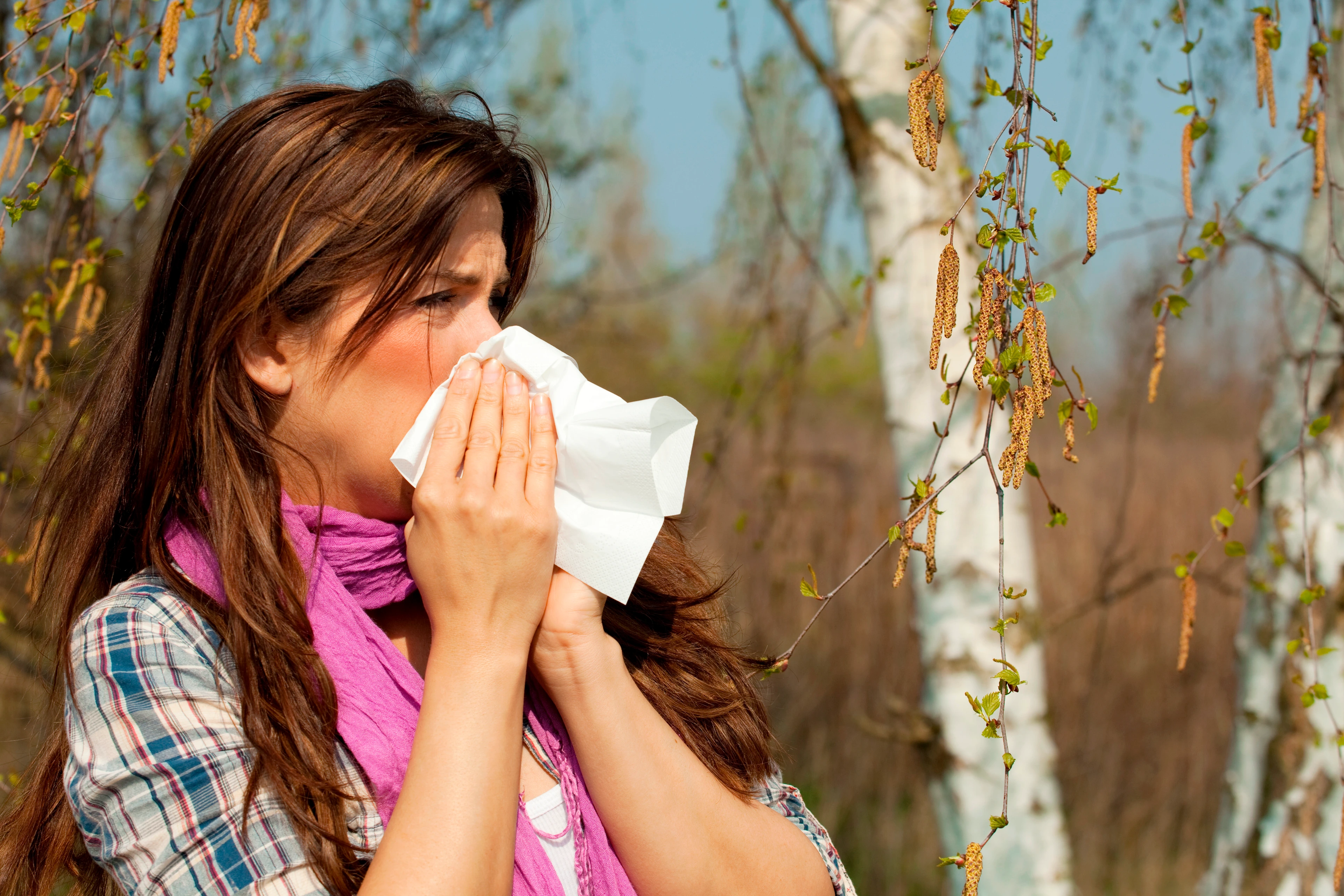 Frau hat Heuschnupfen gegen Birkenpollen