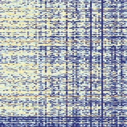 Cellular Decision Making