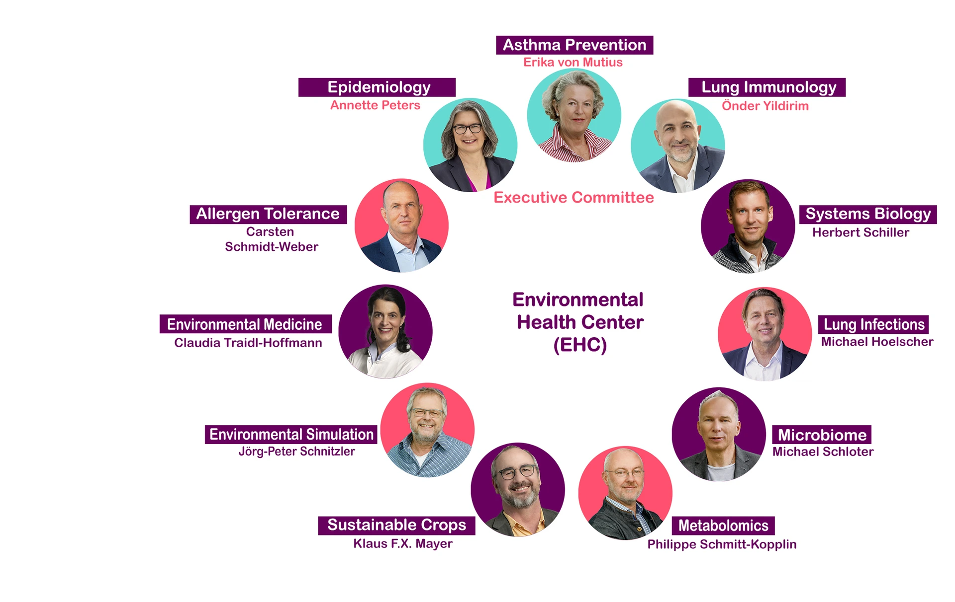 EHC_Organigramm_THM_2024