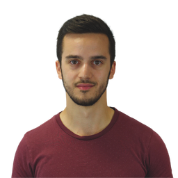 Porträt Benedek Danko