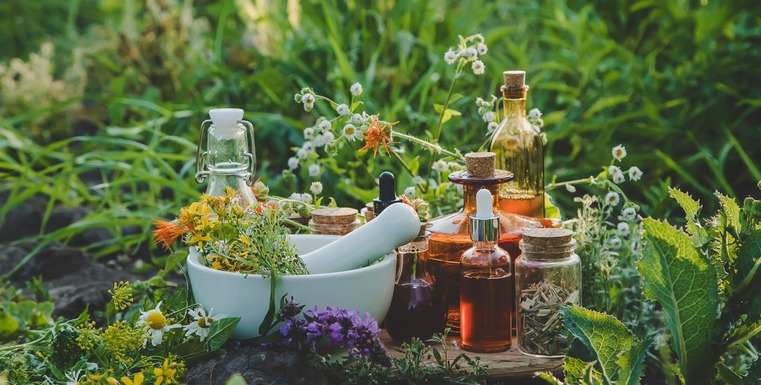 Kräuter und Medizin im Gras Integrative komplementäre Methoden in der Onkologie