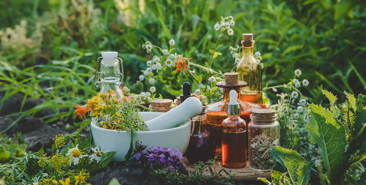 Kräuter und Medizin im Gras Integrative komplementäre Methoden in der Onkologie
