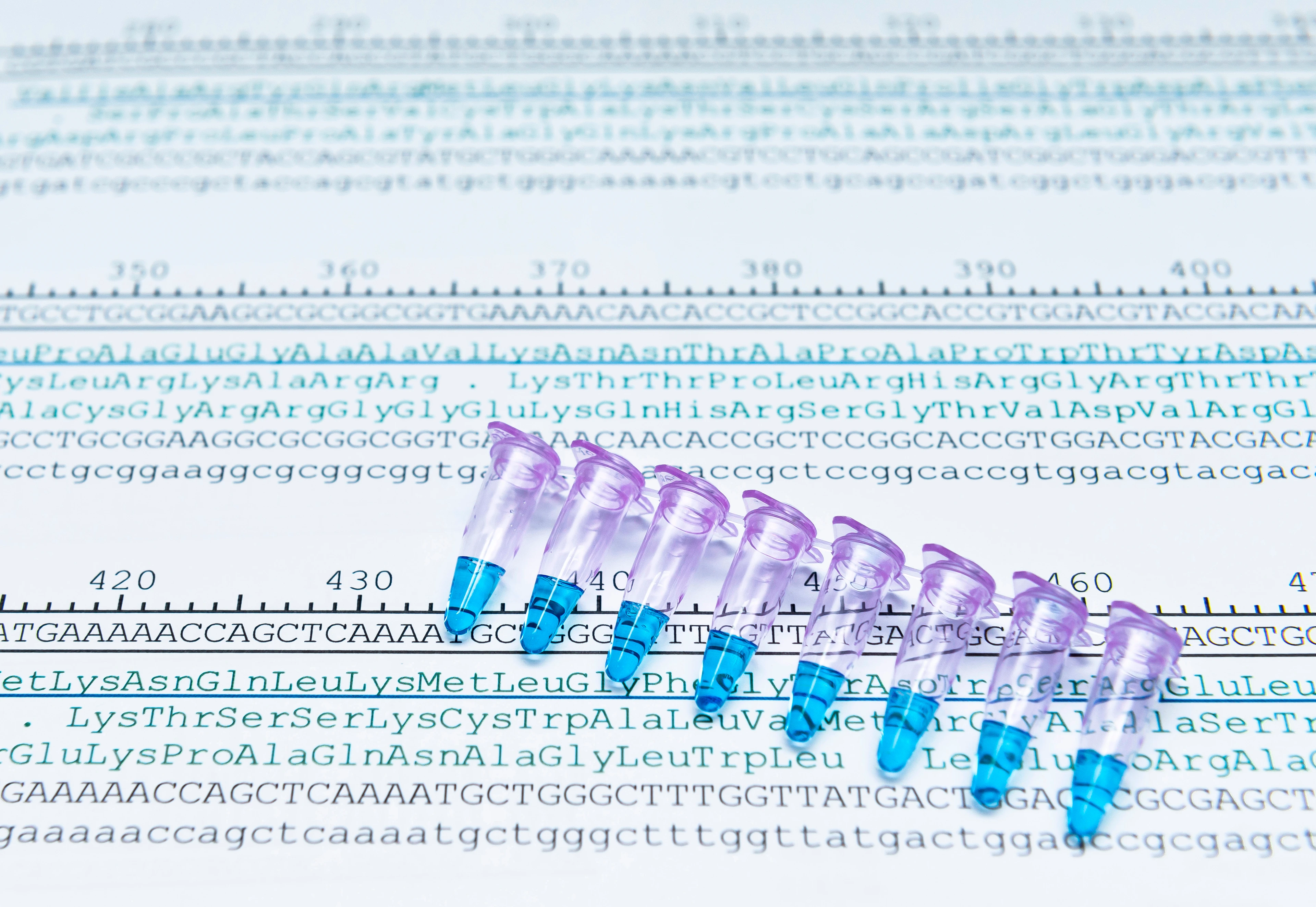 Protein sequencing by analysis of codon sequence of DNA