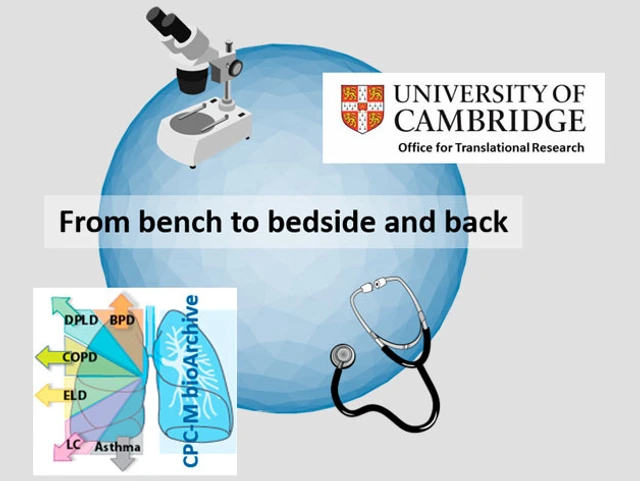 Logo "LMU Cambridge strategic partnership"