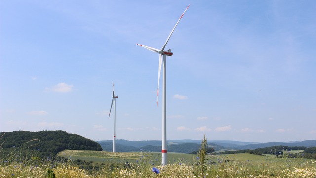 Wind turbines on flowery meadow