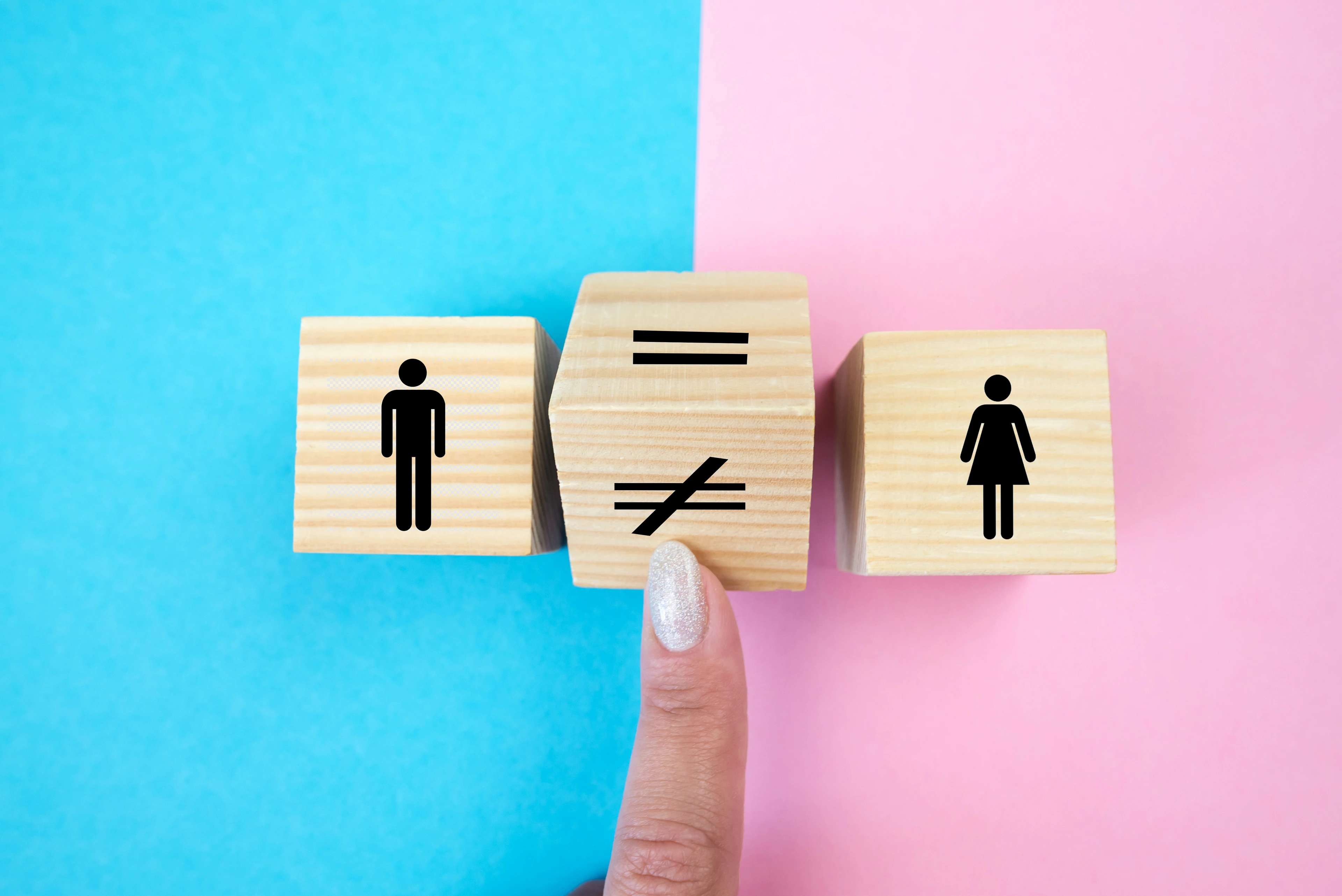 The concept of human rights and equality in social, economic and political rights, responsibilities and opportunities.