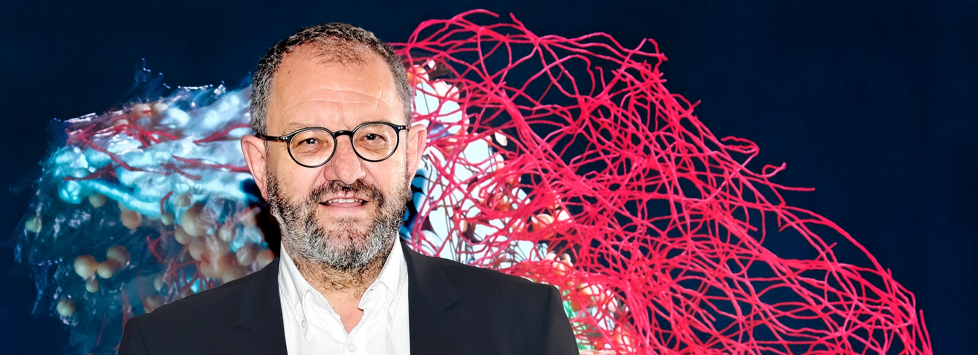 Prof. Dr. Michele Solimena