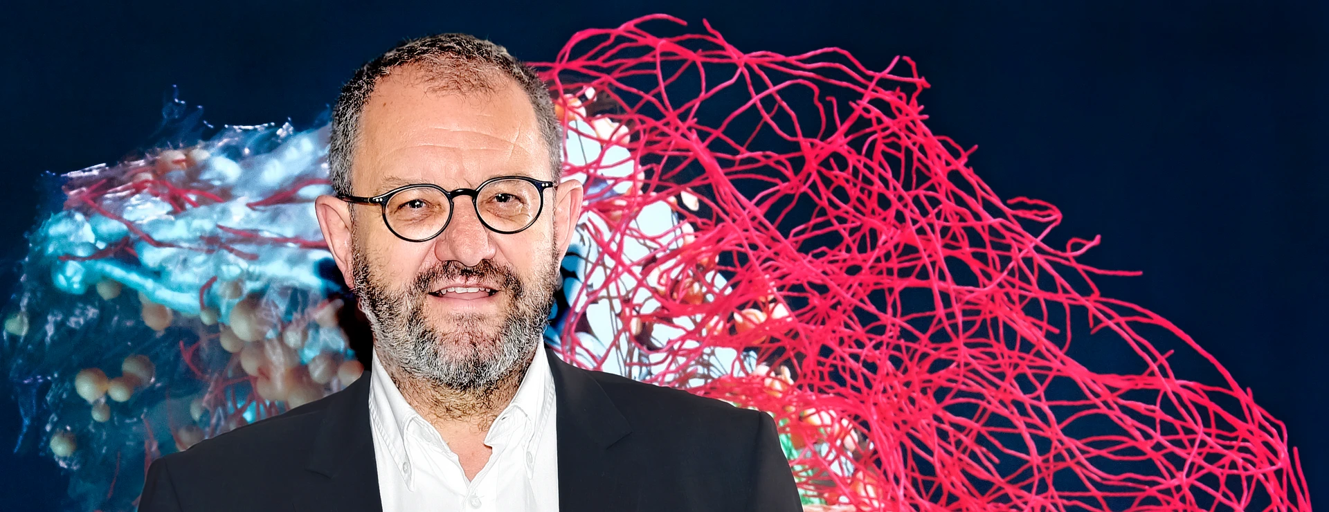 Prof. Dr. Michele Solimena