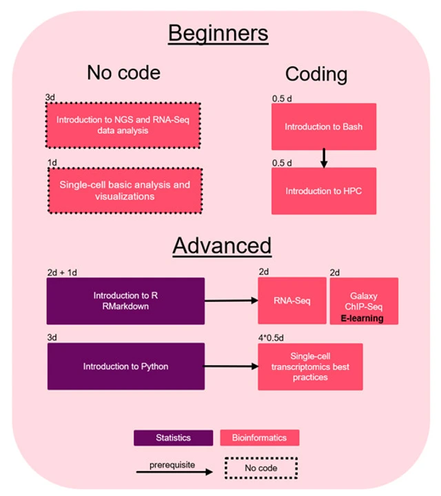 Training courses_2025_04_04