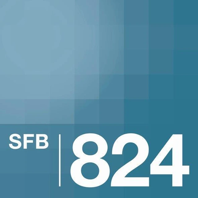 SFB824 Logo