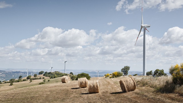 Hayballs on a farm with windmills in the background