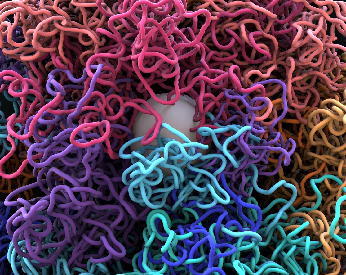 Chromosomes, DNA, cells package the DNA into the nucleus