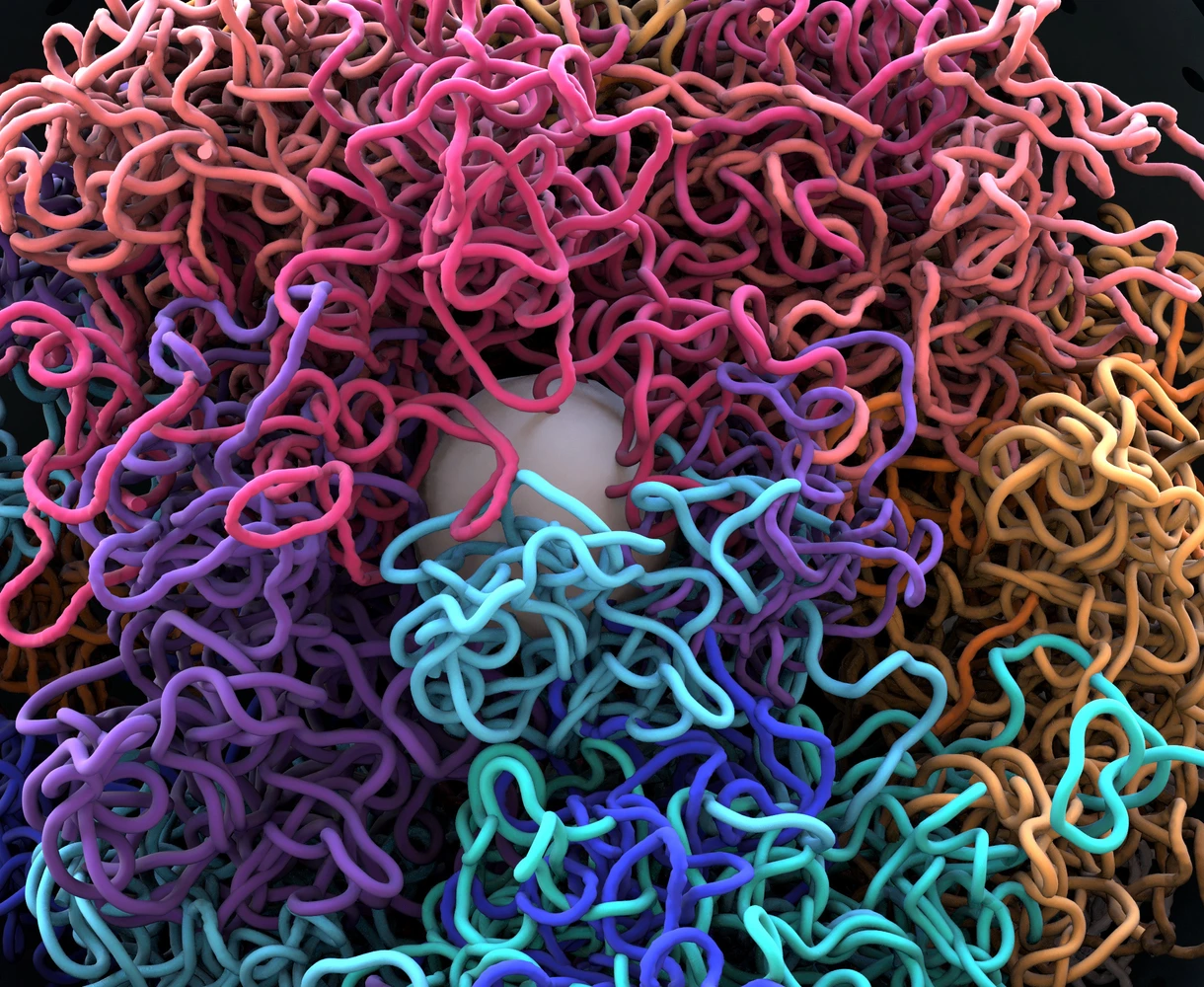 Chromosomes, DNA, cells package the DNA into the nucleus