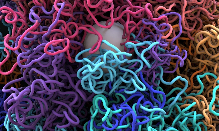 Chromosomes, DNA, cells package the DNA into the nucleus