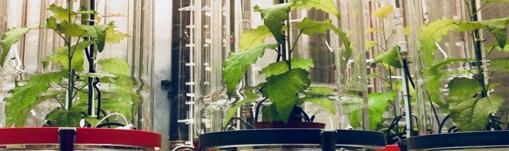 Institutsbild EUS - EHC Department