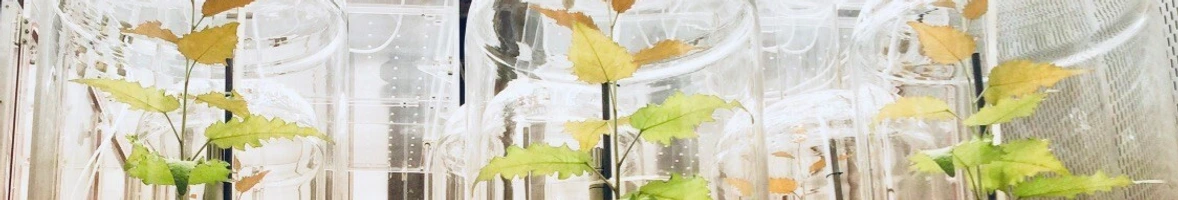 Institutsbild EUS - EHC Department