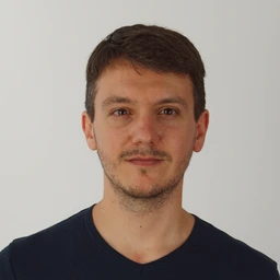 Porträt Denis Vecellio