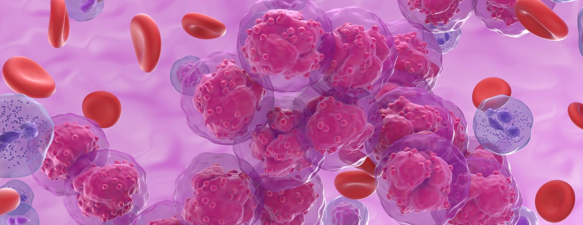 Leukemia cancer cells