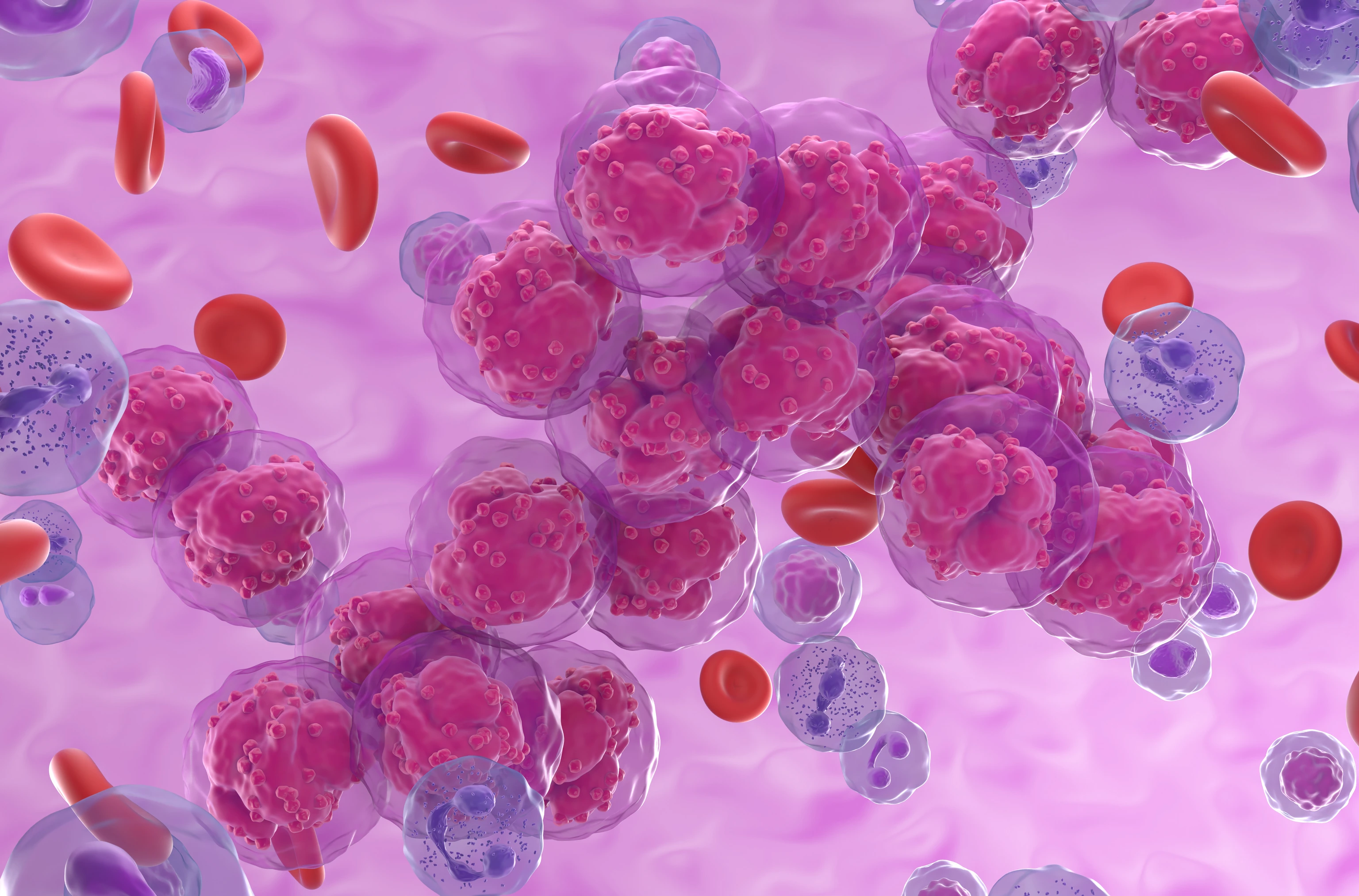 Leukemia cancer cells