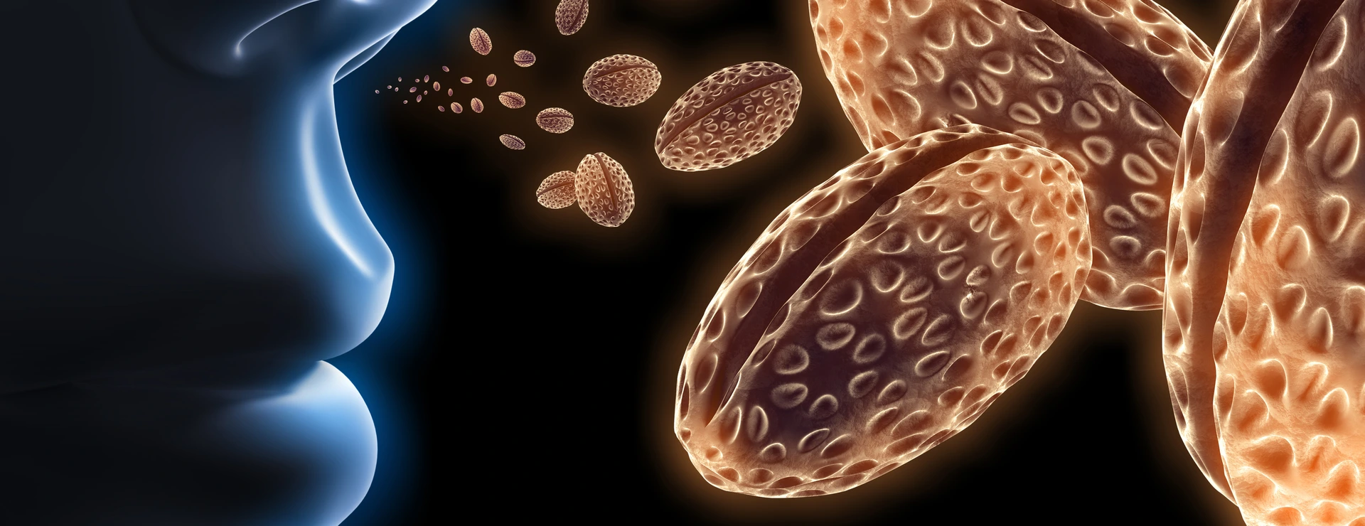 Pollen als Allergene in der Luft