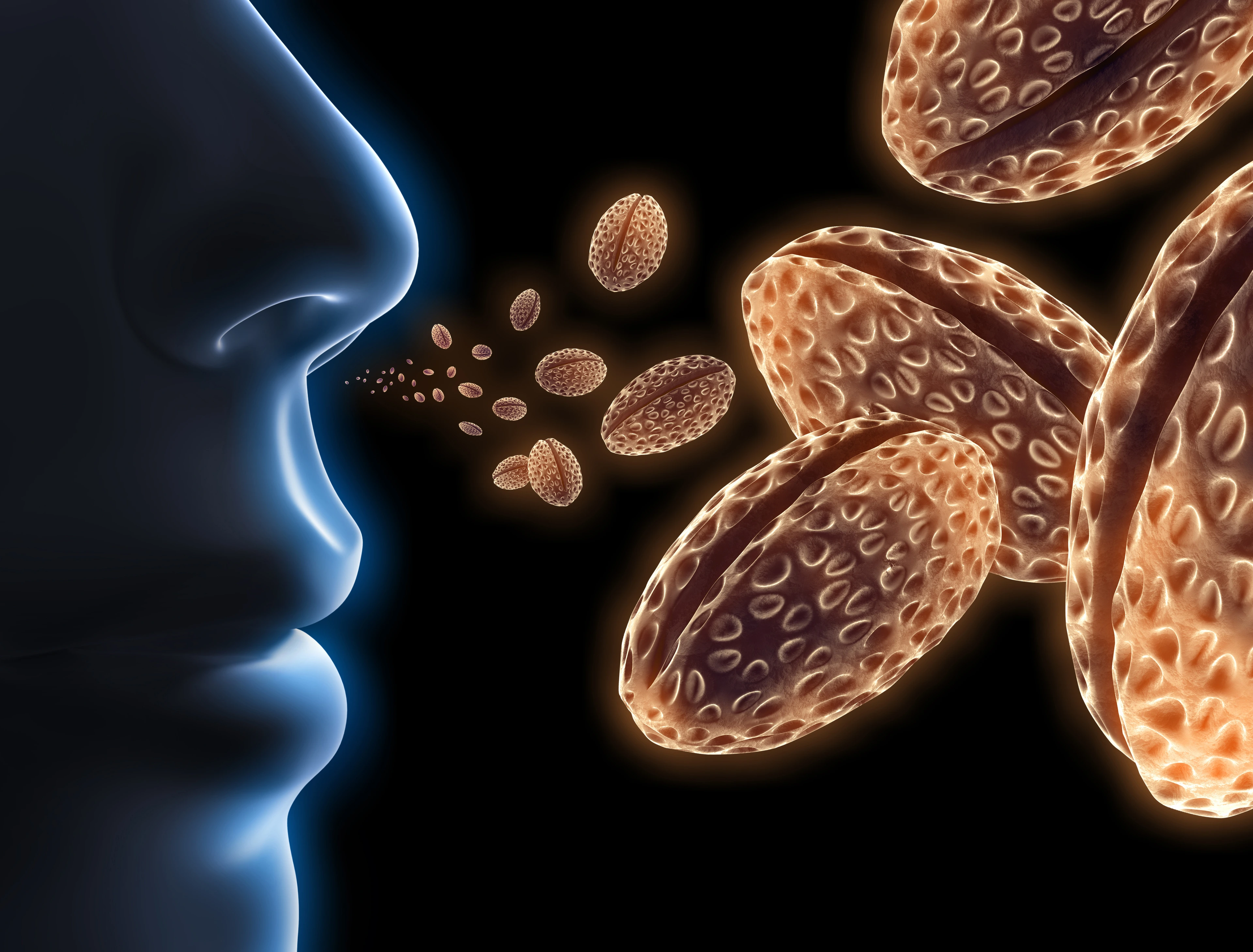 Pollen als Allergene in der Luft