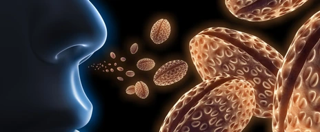 Aufnahme von Pollen