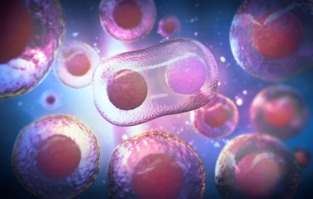 microscope of human stem cells, 3d rendering.