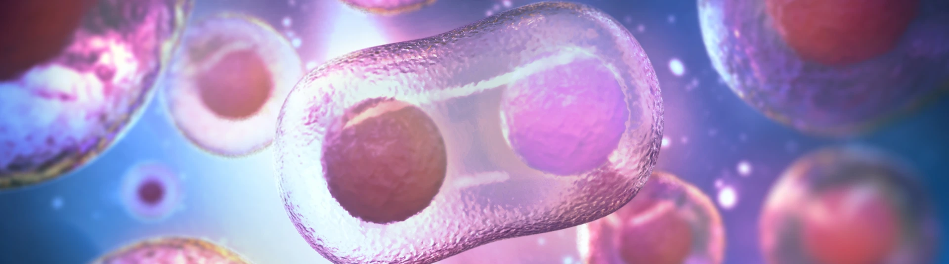 microscope of human stem cells, 3d rendering.