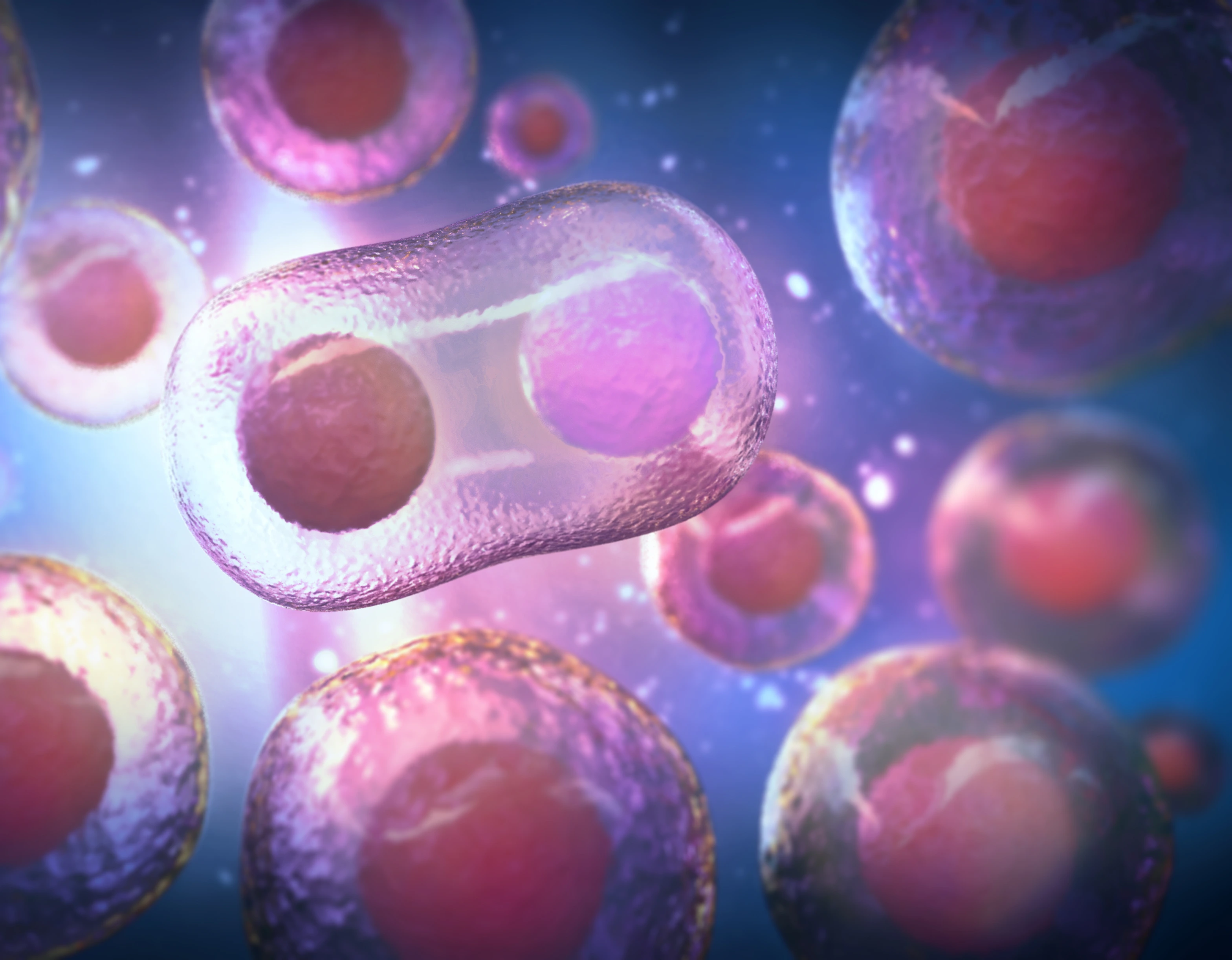 AI human stem cells dividing