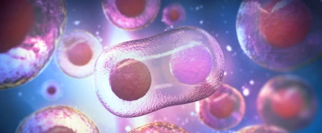 microscope of human stem cells, 3d rendering.