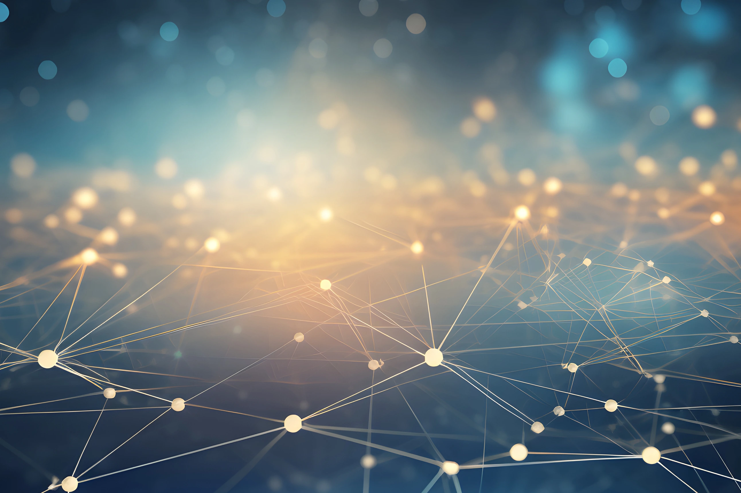 Transfer und Netzwerke