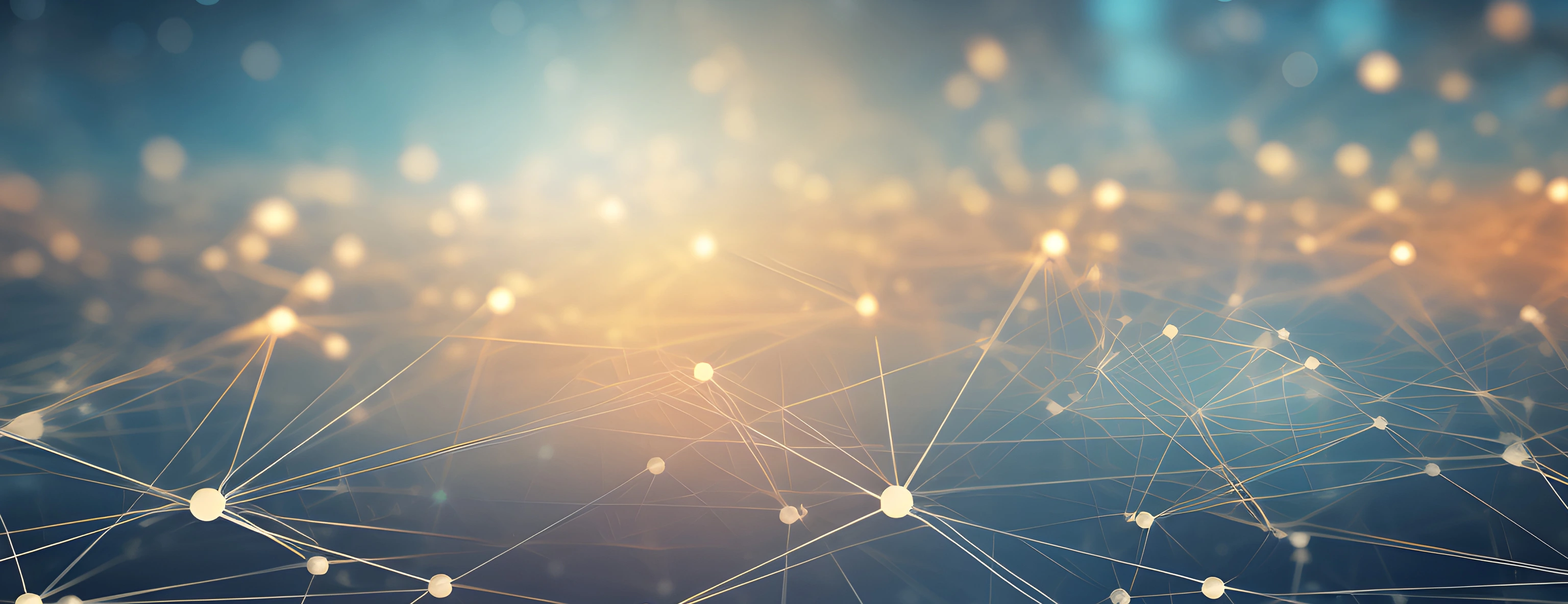 Transfer und Netzwerke