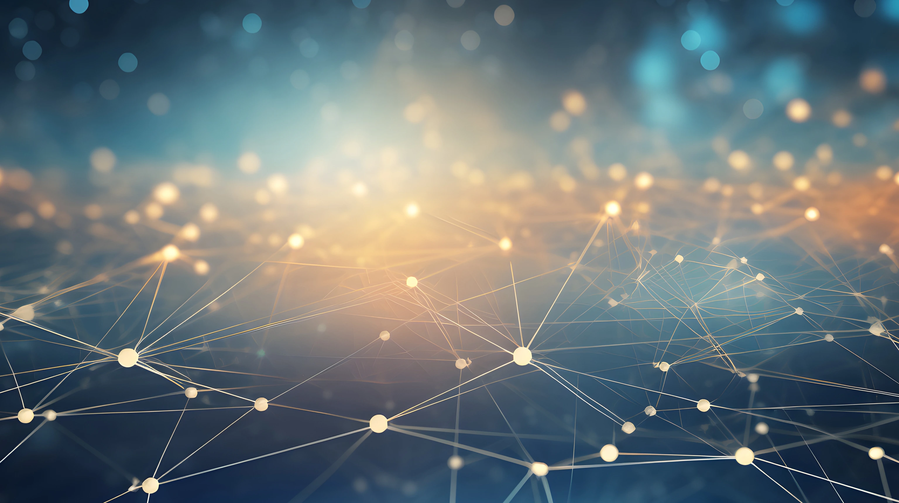 Transfer und Netzwerke