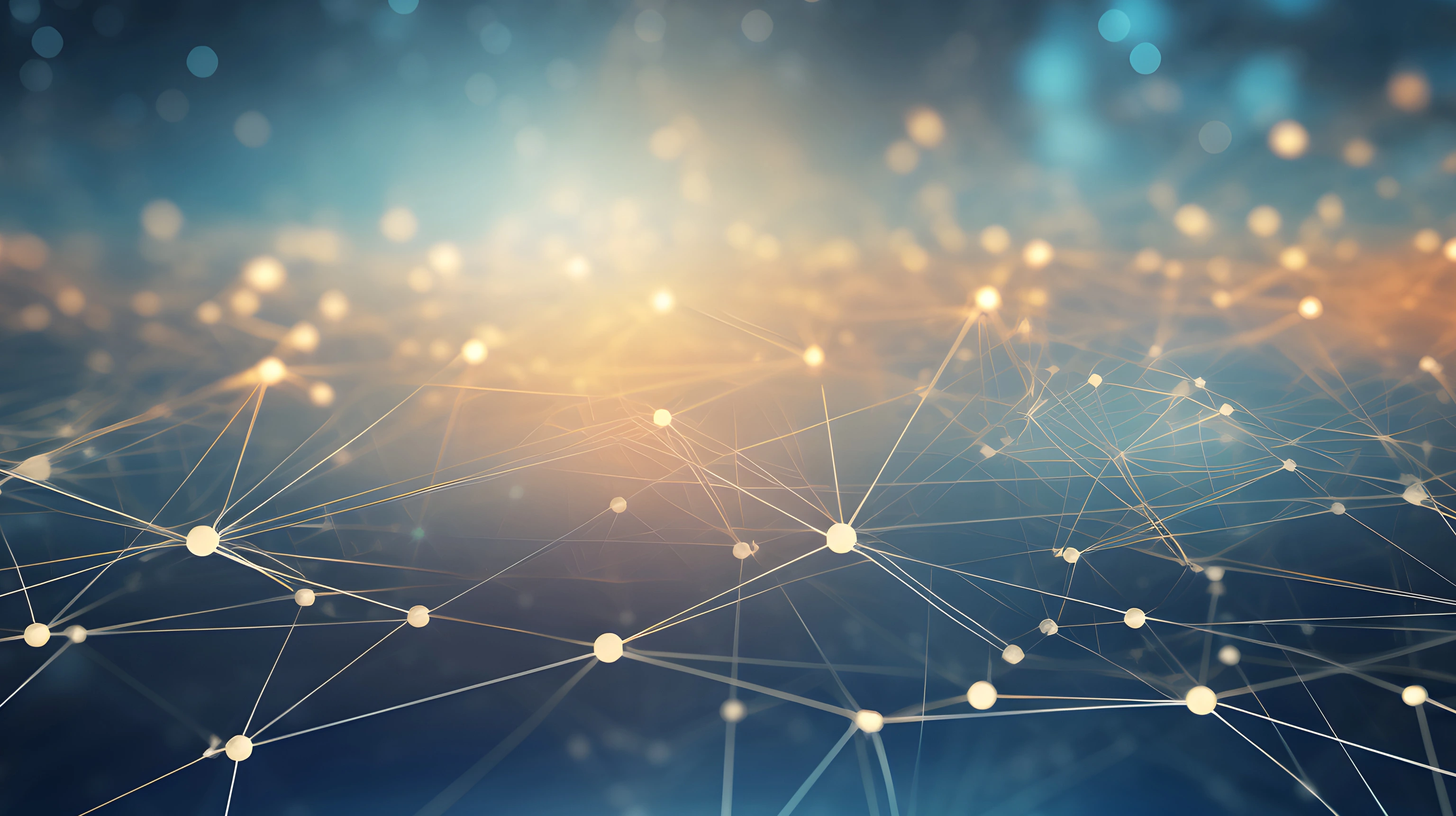 Transfer und Netzwerke