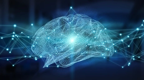Human brain digital x-ray