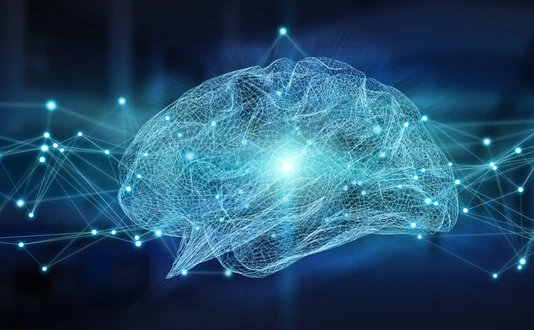 Human brain digital x-ray