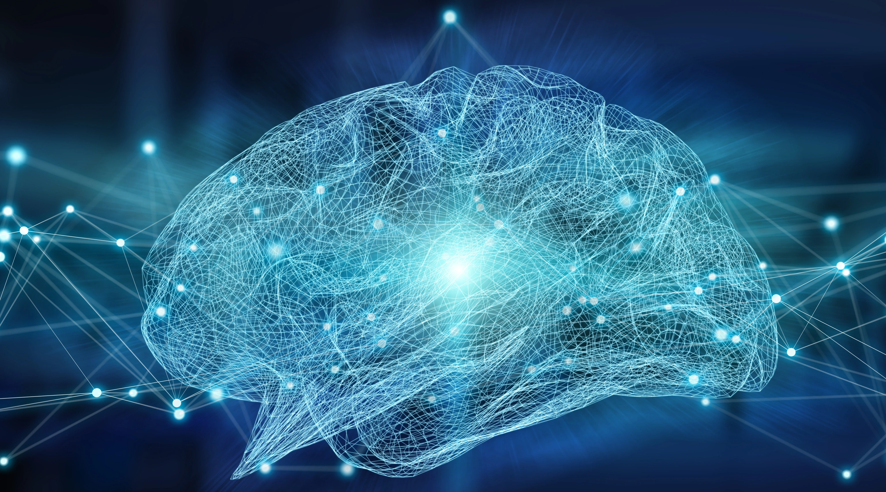 Human brain digital x-ray