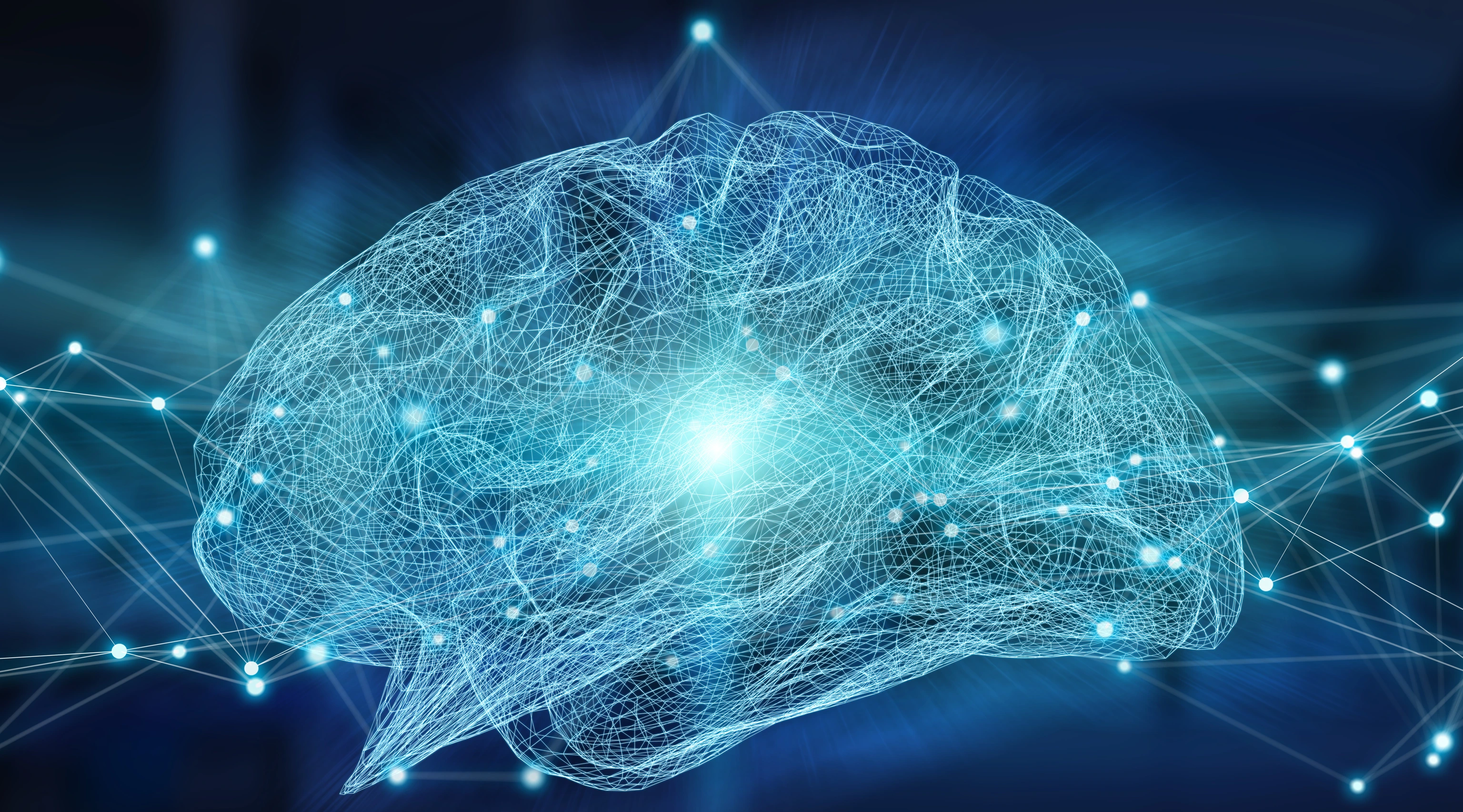 Human brain digital x-ray