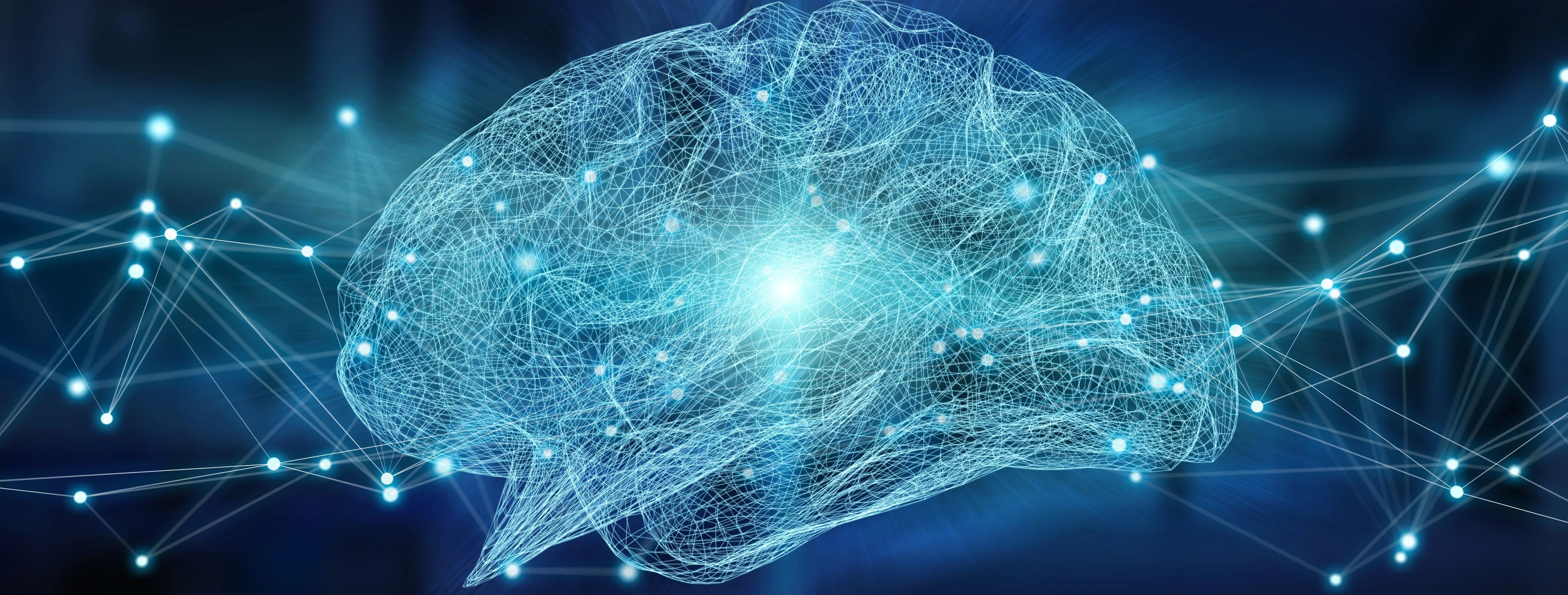 Human brain digital x-ray