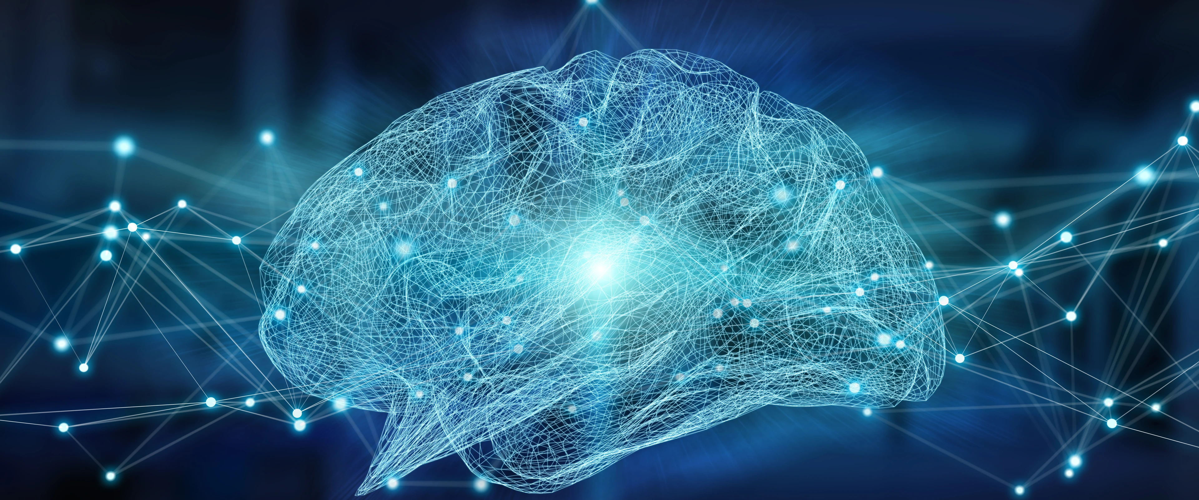 Human brain digital x-ray