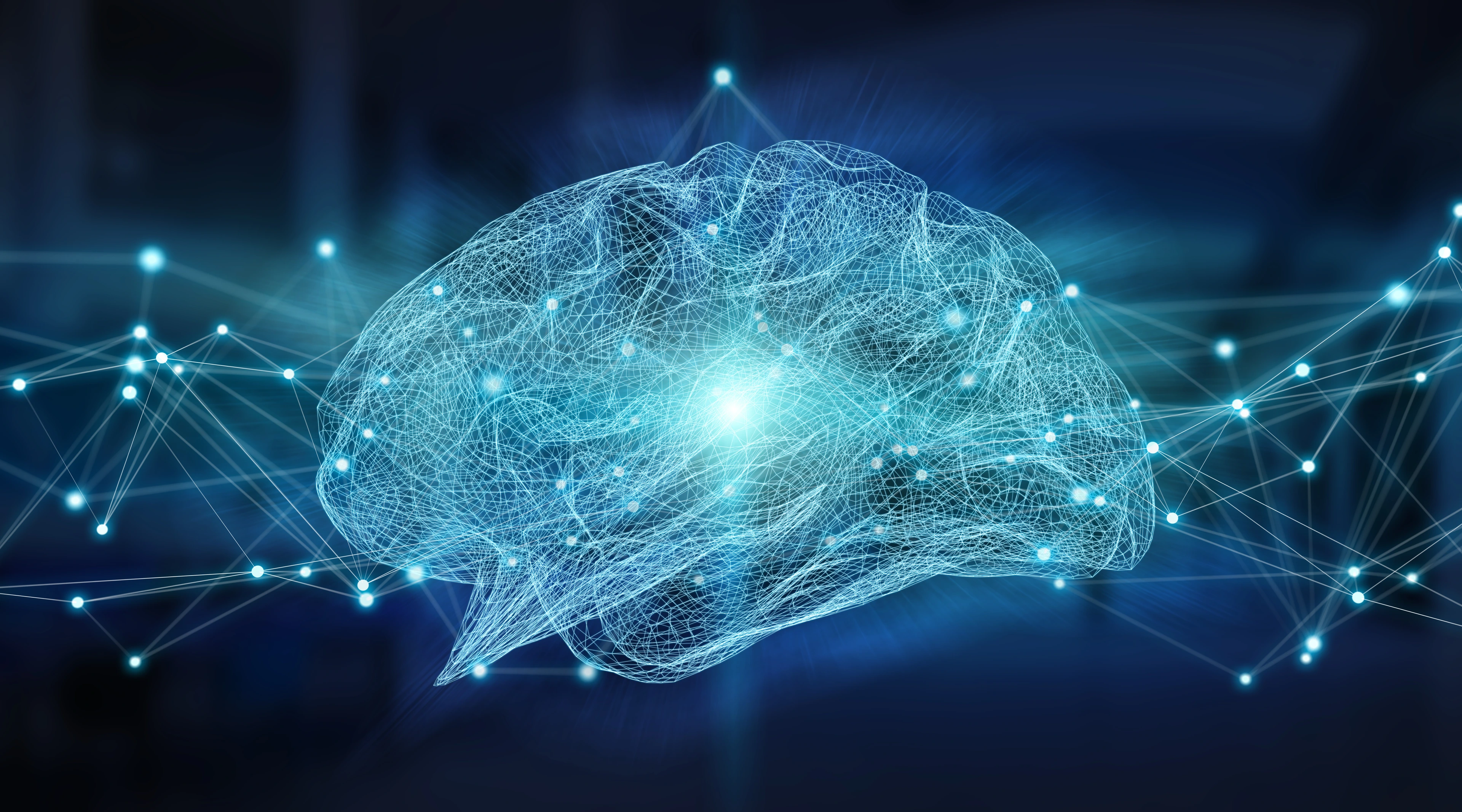 Human brain digital x-ray