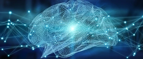 Human brain digital x-ray