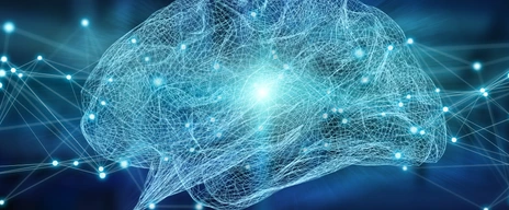 Human brain digital x-ray