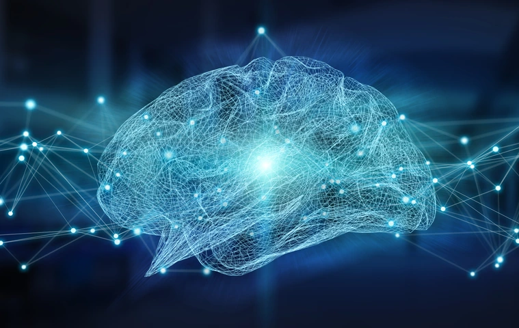 Human brain digital x-ray