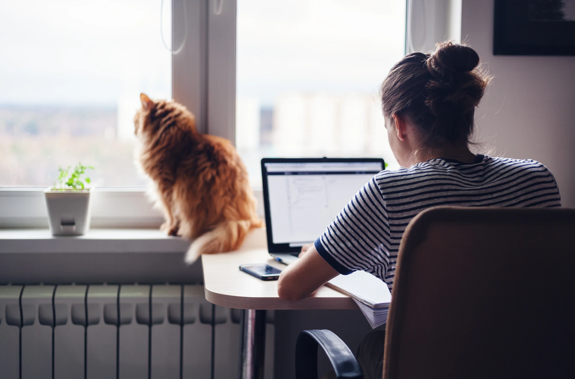 Girl student freelancer working at home on a task, the cat is sitting on the window