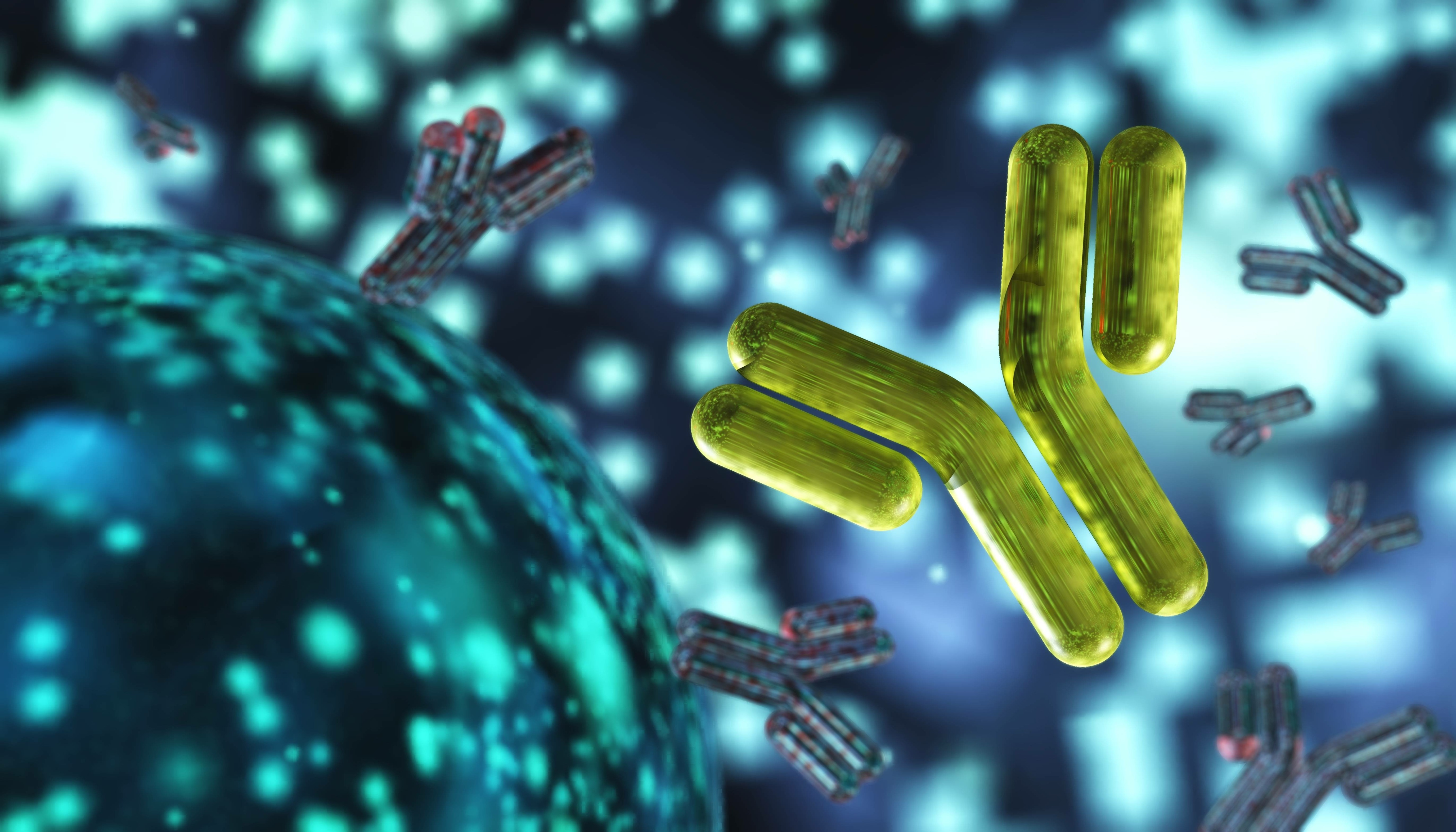 antibody, immunoglobulins, 3d rendering
