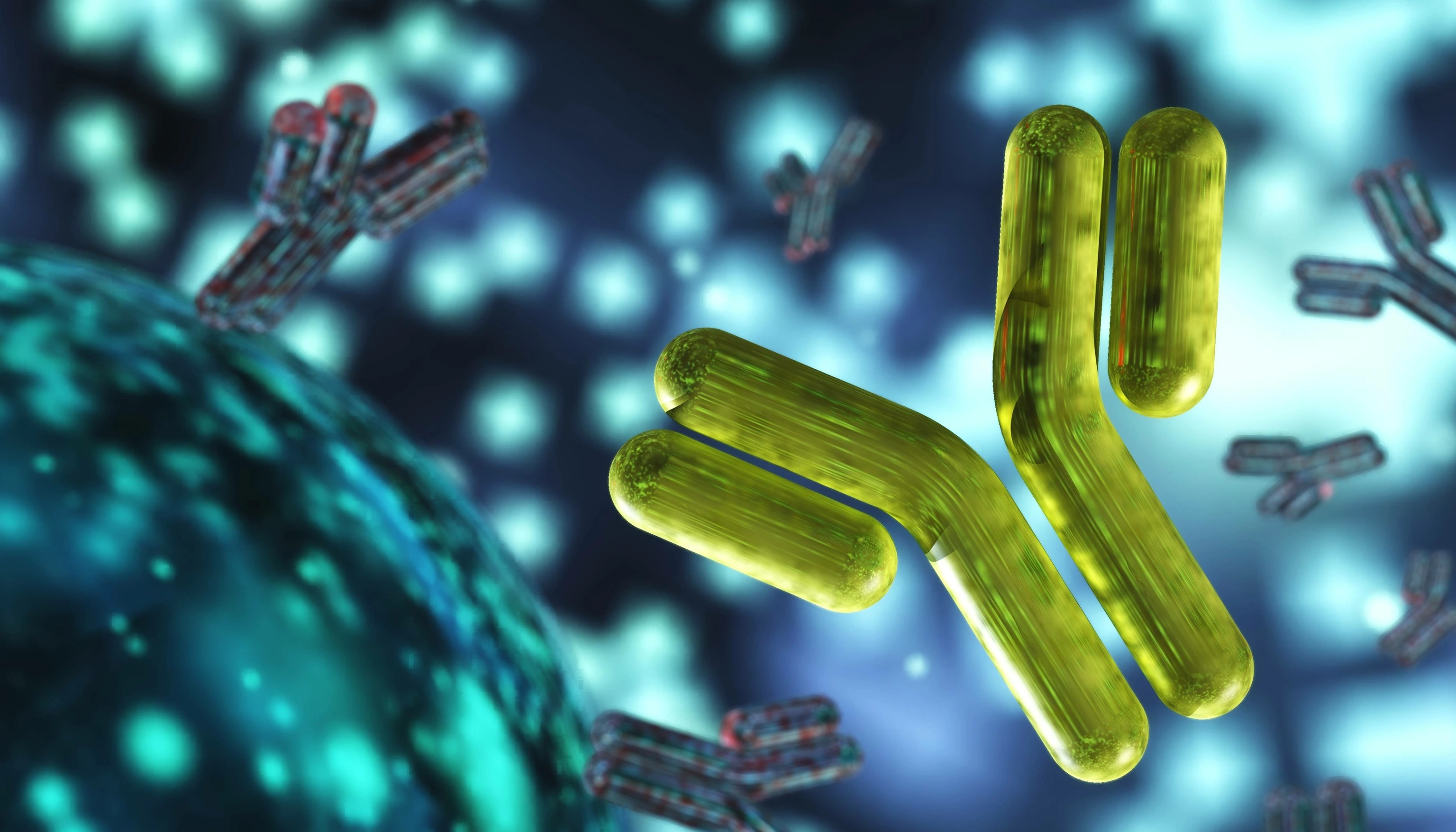 antibody, immunoglobulins, 3d rendering