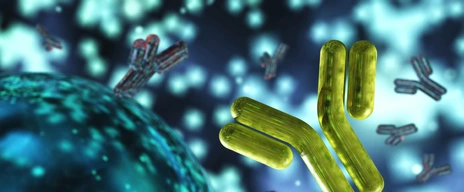 antibody, immunoglobulins, 3d rendering