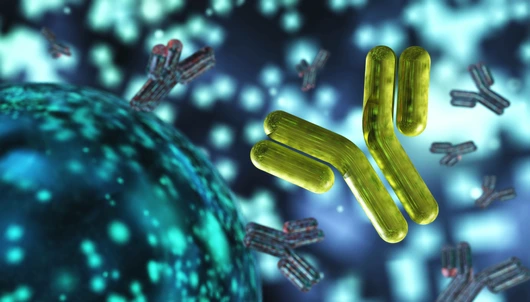 antibody, immunoglobulins, 3d rendering