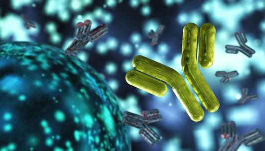 antibody, immunoglobulins, 3d rendering